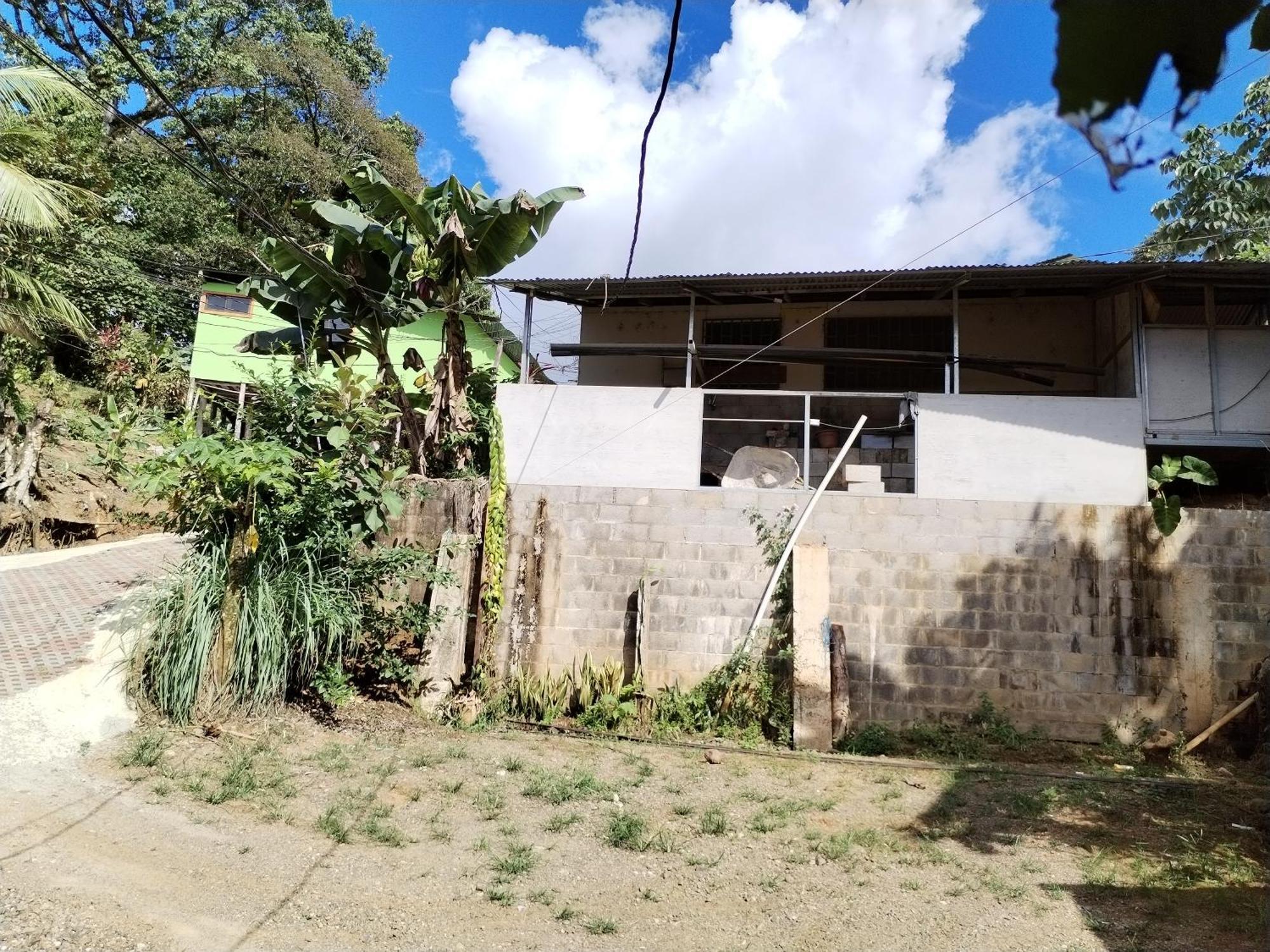 Drakes BayOsa House - Drake Corcovado Tours住宿加早餐旅馆 外观 照片