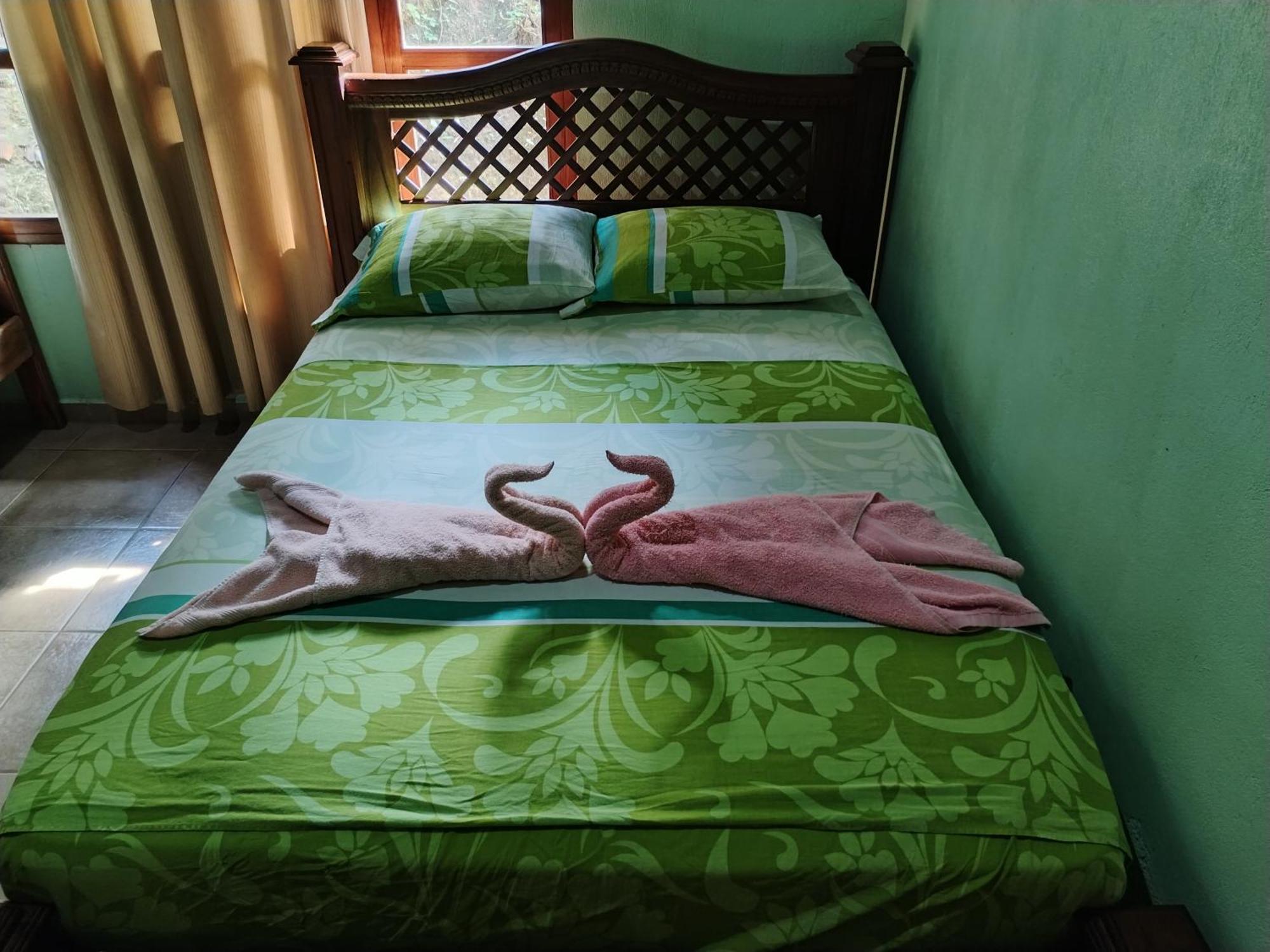 Drakes BayOsa House - Drake Corcovado Tours住宿加早餐旅馆 外观 照片